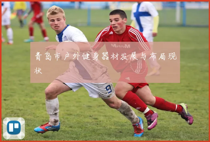 青岛市户外健身器材发展与布局现状