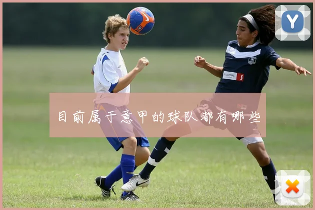 目前属于意甲的球队都有哪些